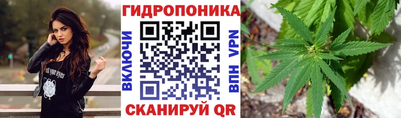 Канабис White Widow  Няндома 